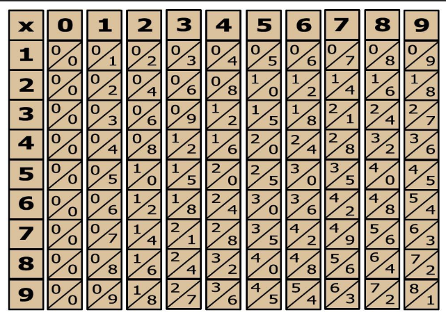 Napier'in Kemiklerini gösteren bir model.